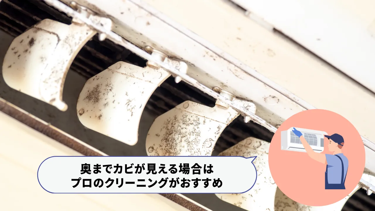 エアコン内部にカビがある様子