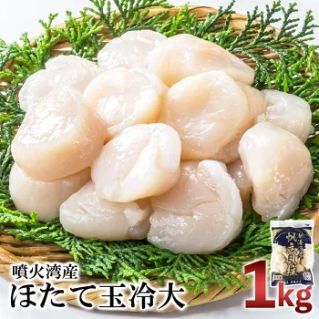 噴火湾産 ホタテ玉