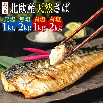 【ふるさと納税】 北欧産天然さばの商品画像