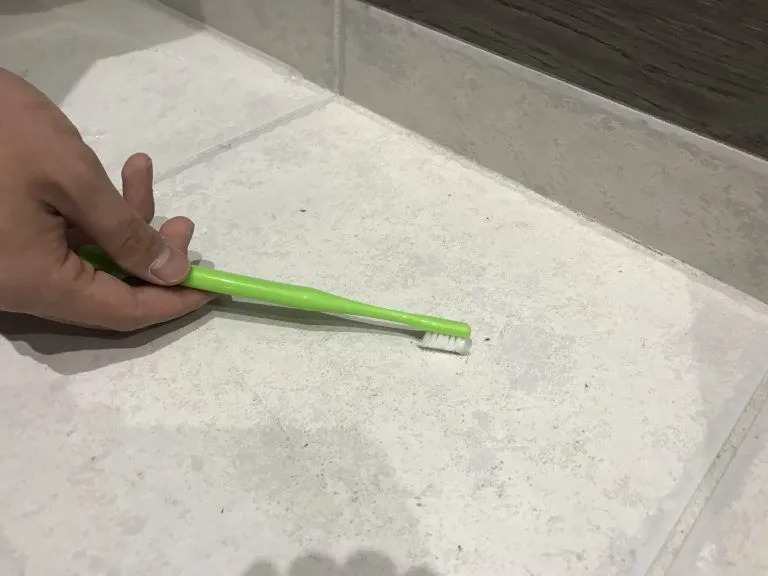 玄関掃除
