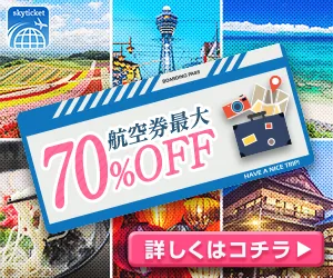 スカイチケット