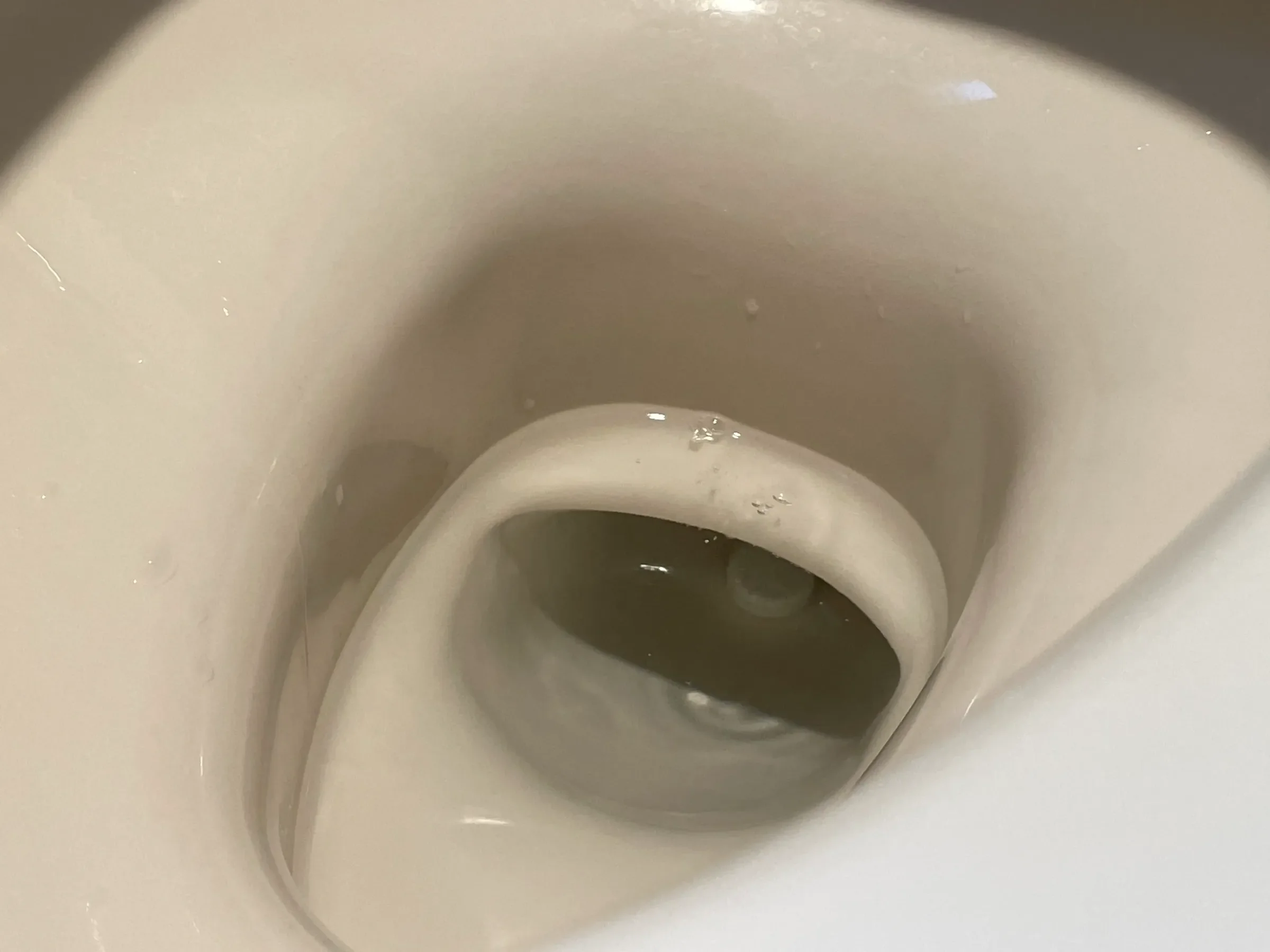 ダイソートイレ掃除