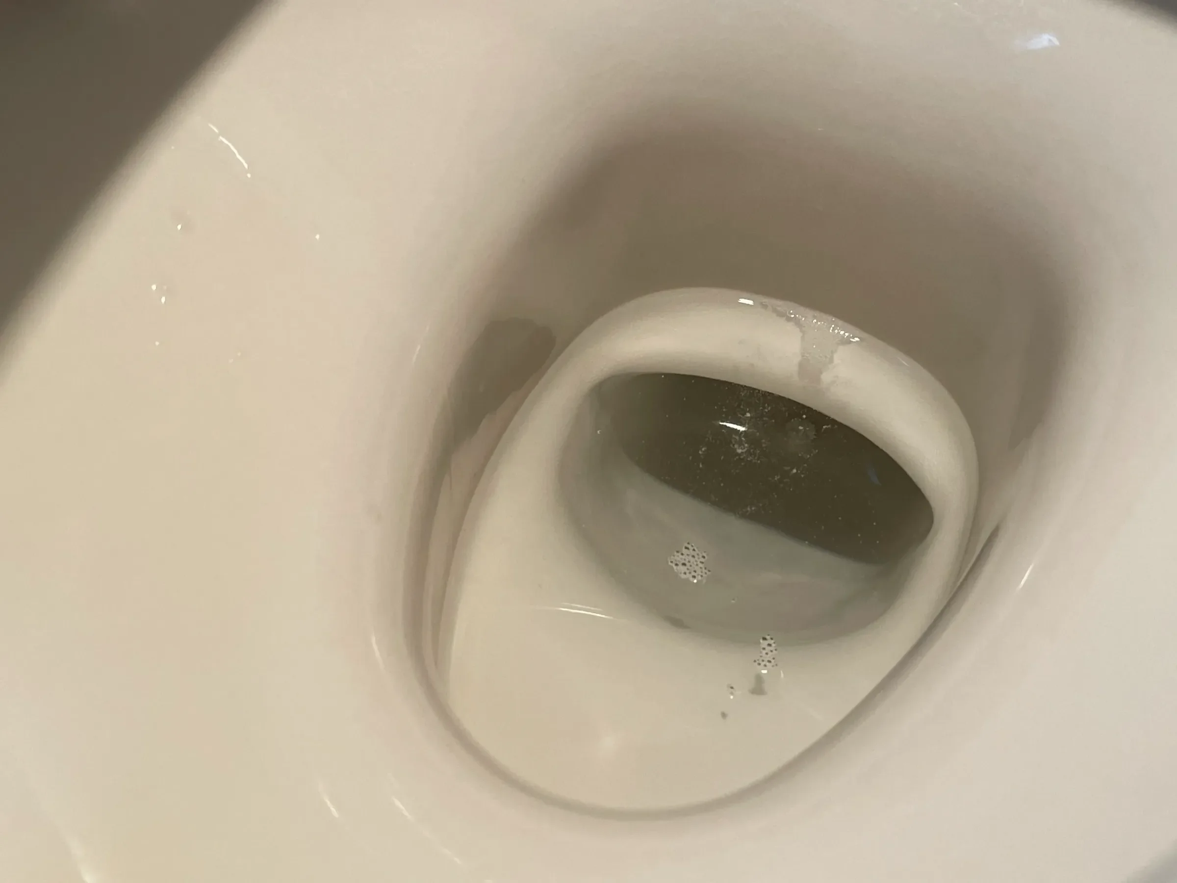 ダイソートイレ掃除