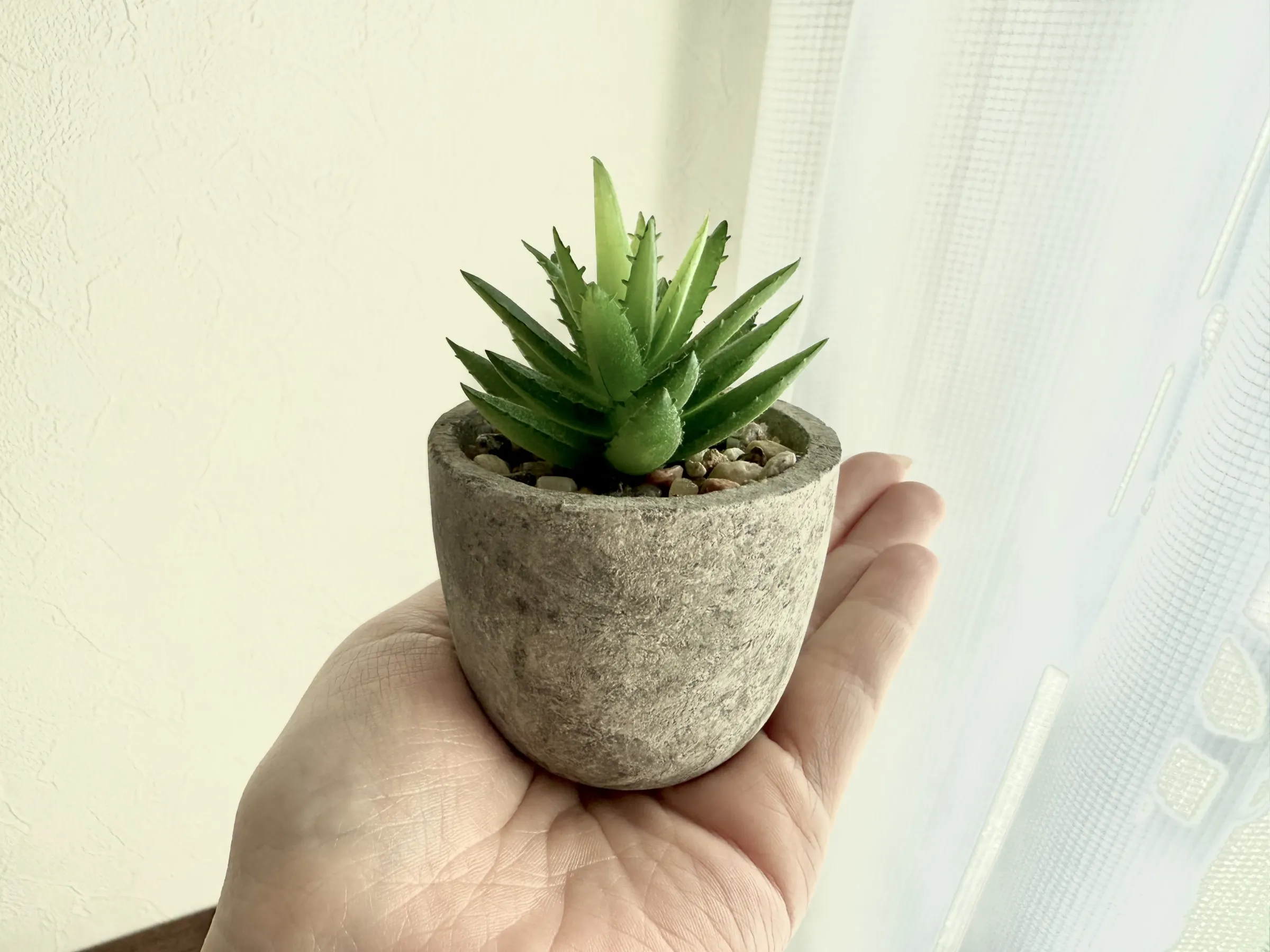 造花多肉植物