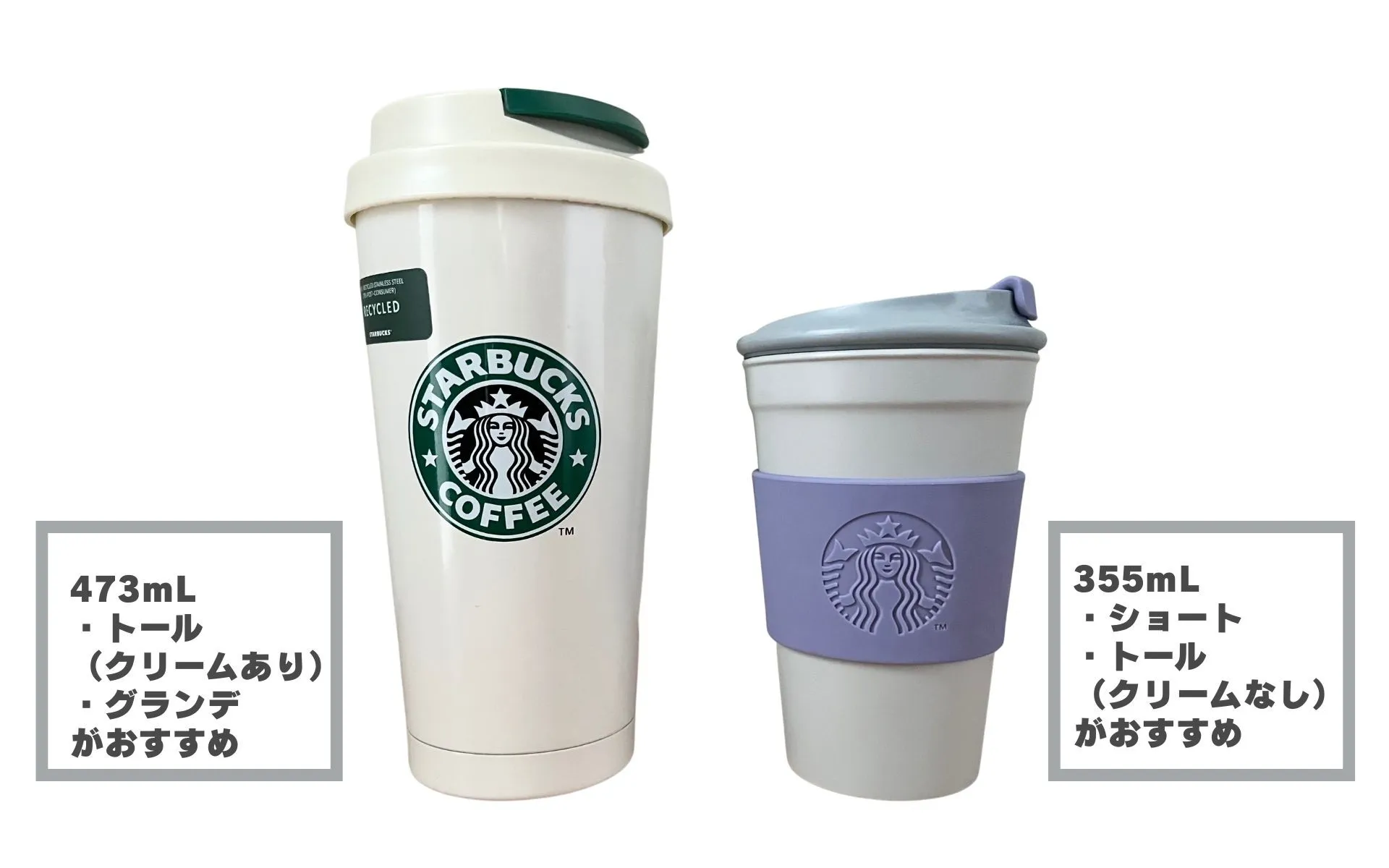 タンブラーの大きさの比較画像