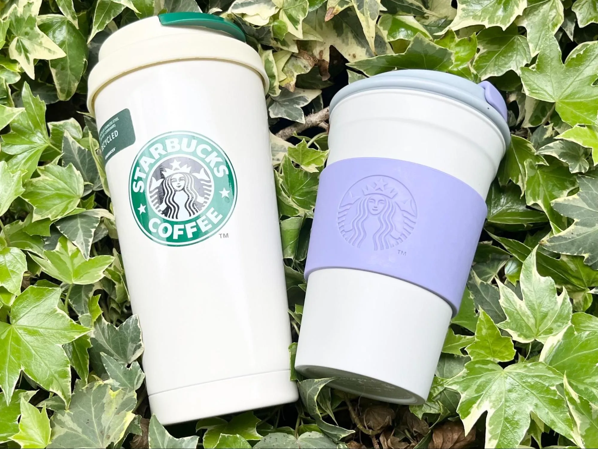 タンブラーの画像