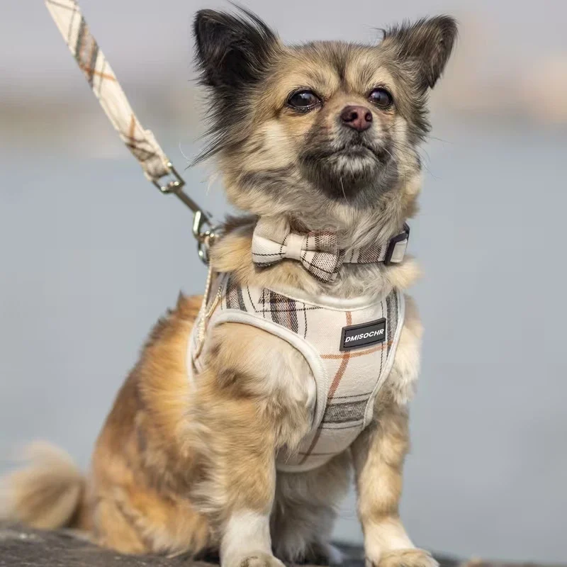 反射柄ノープールハーネス&リードセット