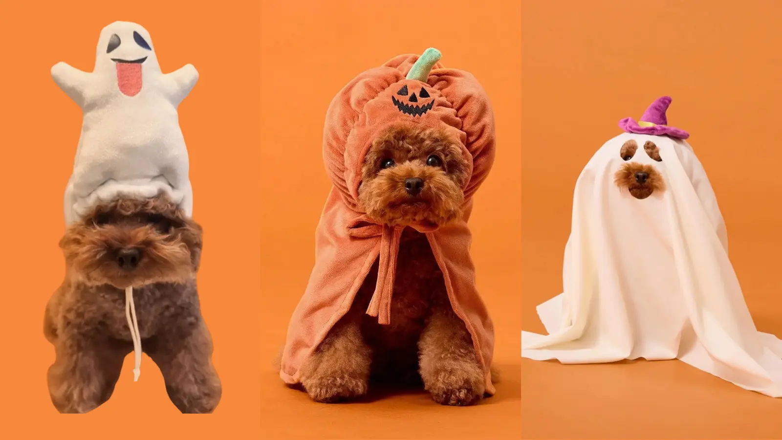 スリコハロウィンペットグッズ
