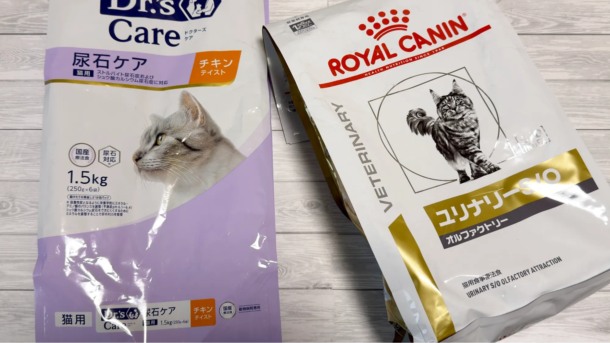 キャットフードの画像