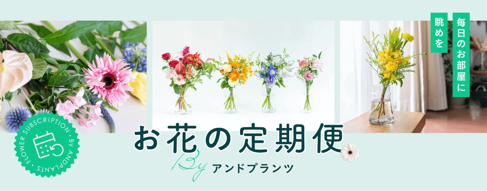 アンドプランツ