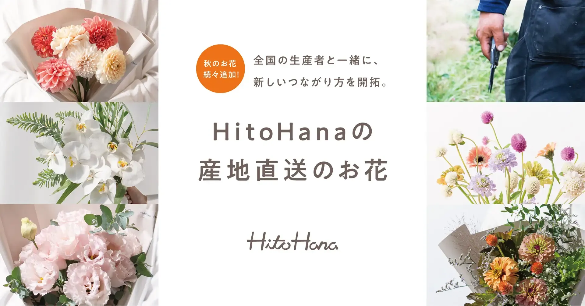 HitoHana