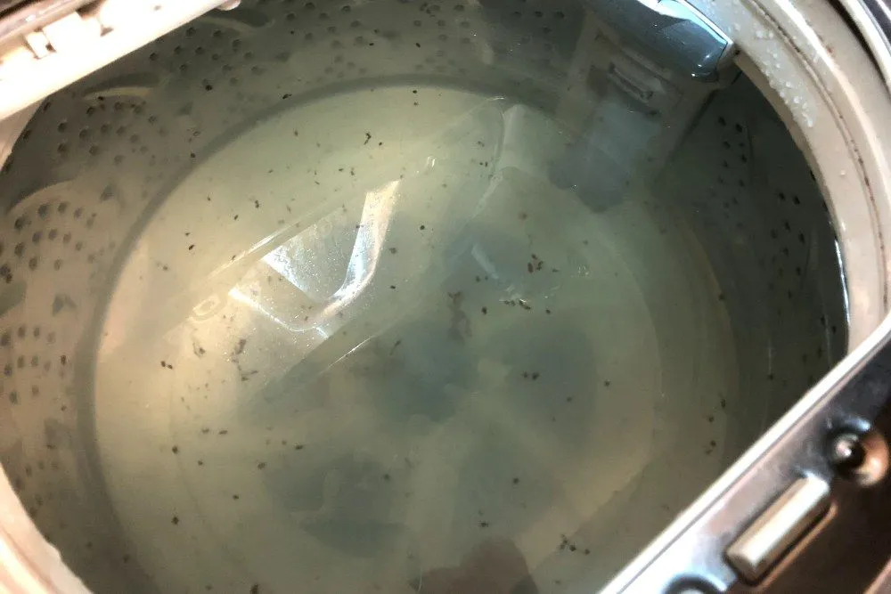 洗濯機掃除