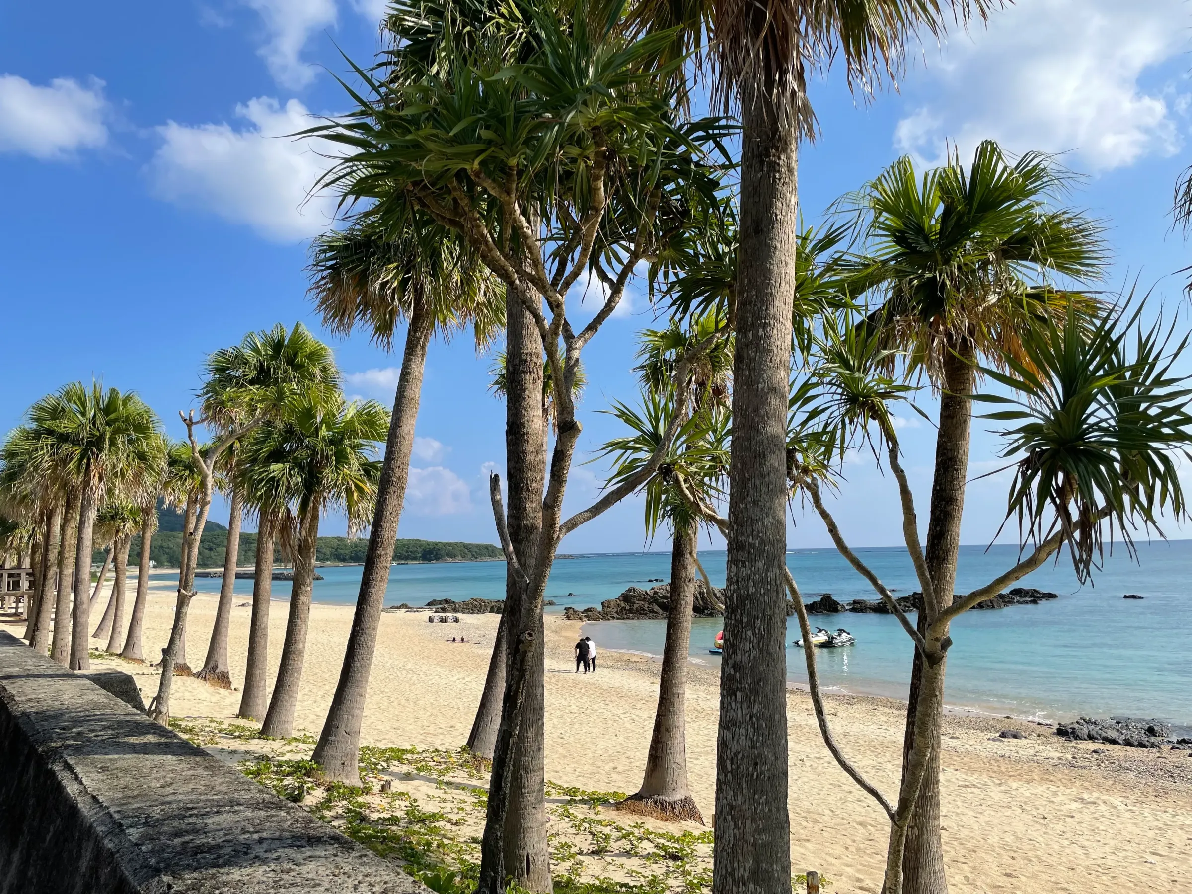 地方移住物件探し