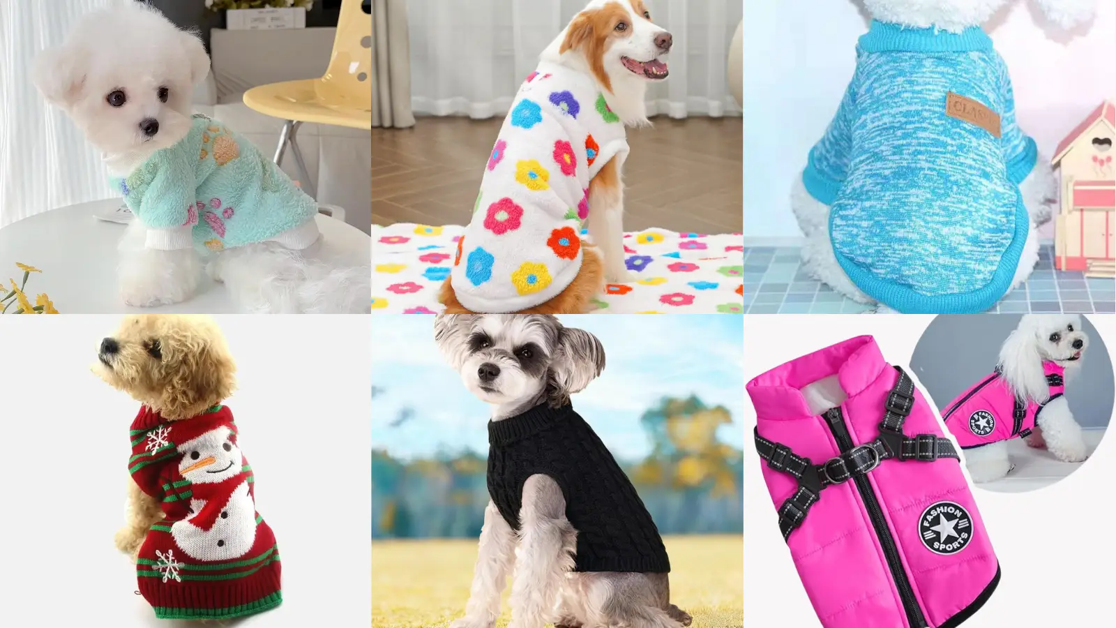 アマゾンホウルペット冬服