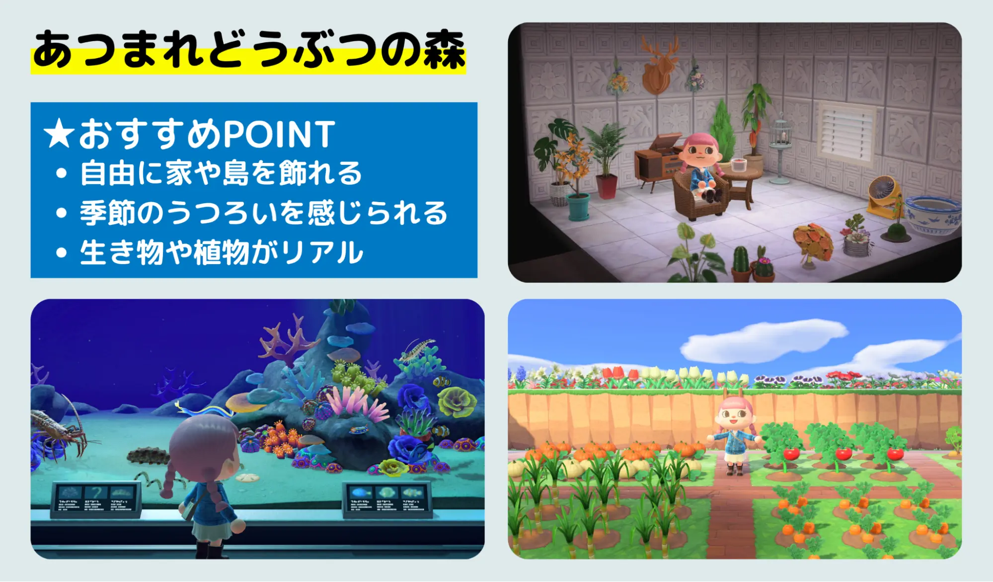 あつまれどうぶつの森