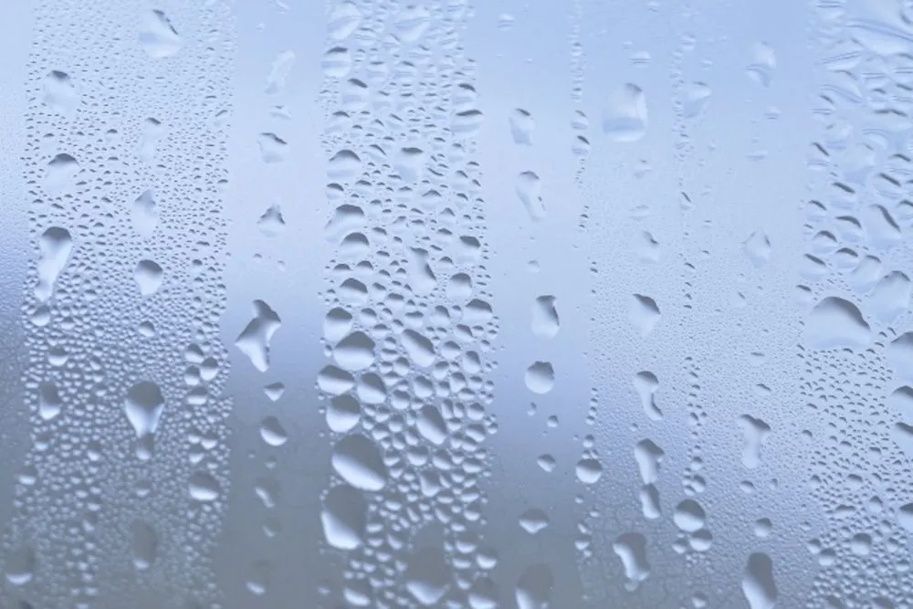 窓の汚れを防ぐ方法