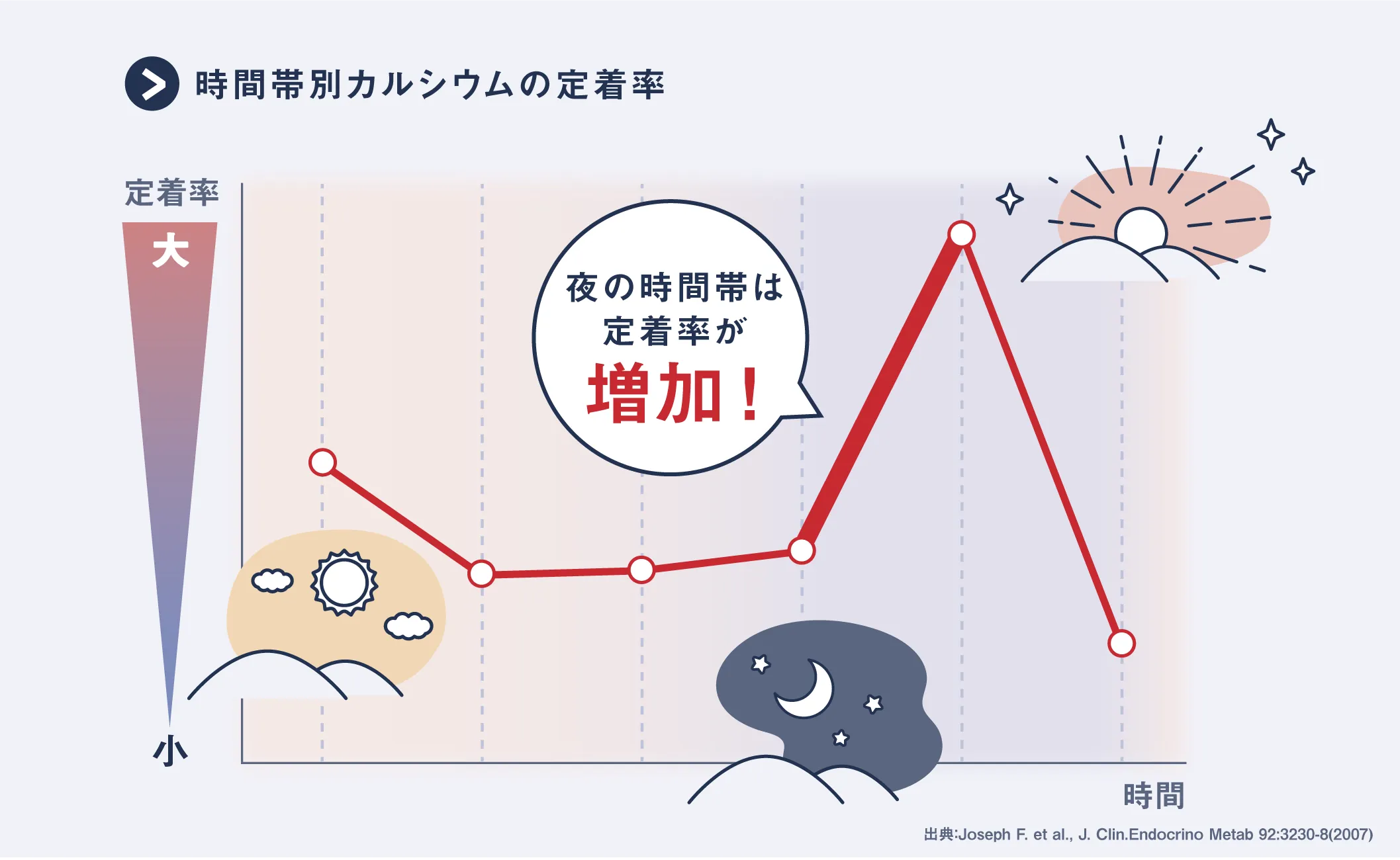 時間帯別カルシウムの定着率