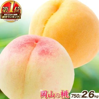 楽天ふるさと納税返礼品