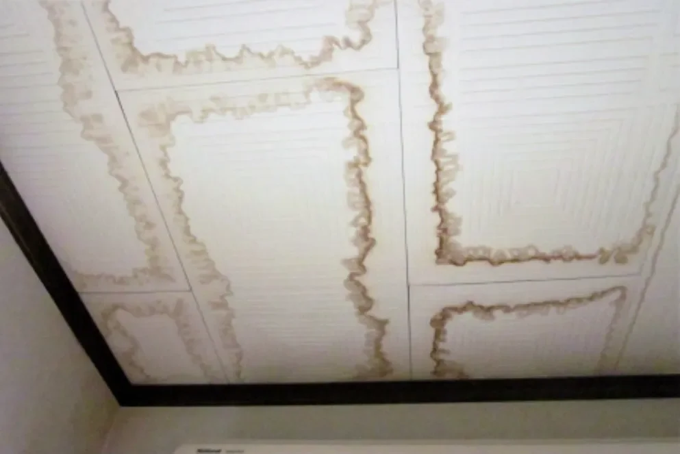 天井にシミがある原因