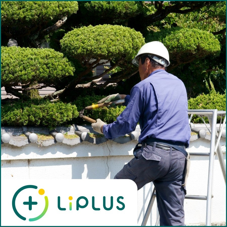 お庭・植木の剪定 LiPLUS