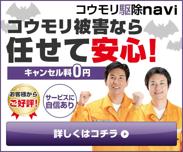 コウモリ駆除navi