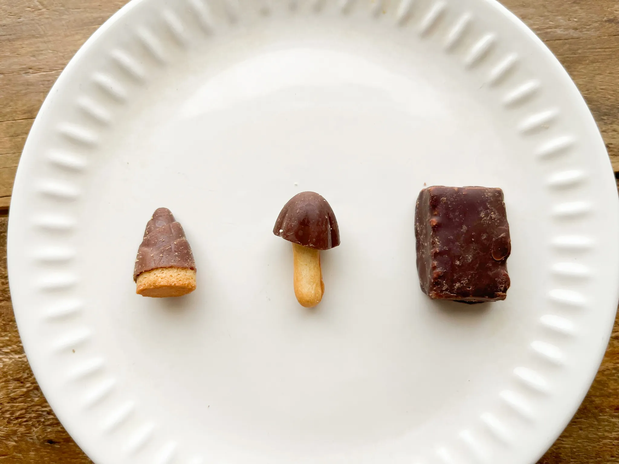 たけのこの里ときのこの里ときたきたのこのこの山里