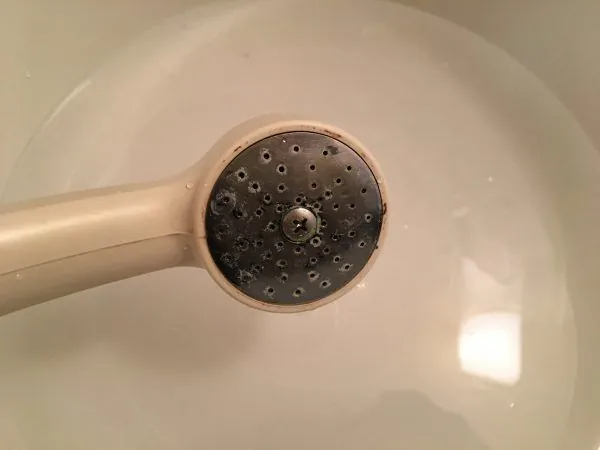 シャワーヘッド掃除