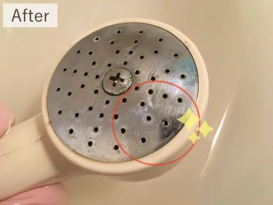 シャワーヘッド掃除