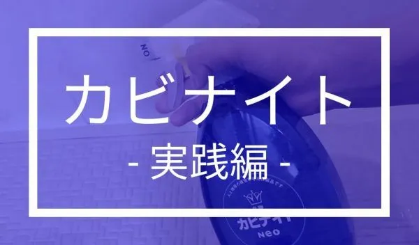 カビナイト実践編