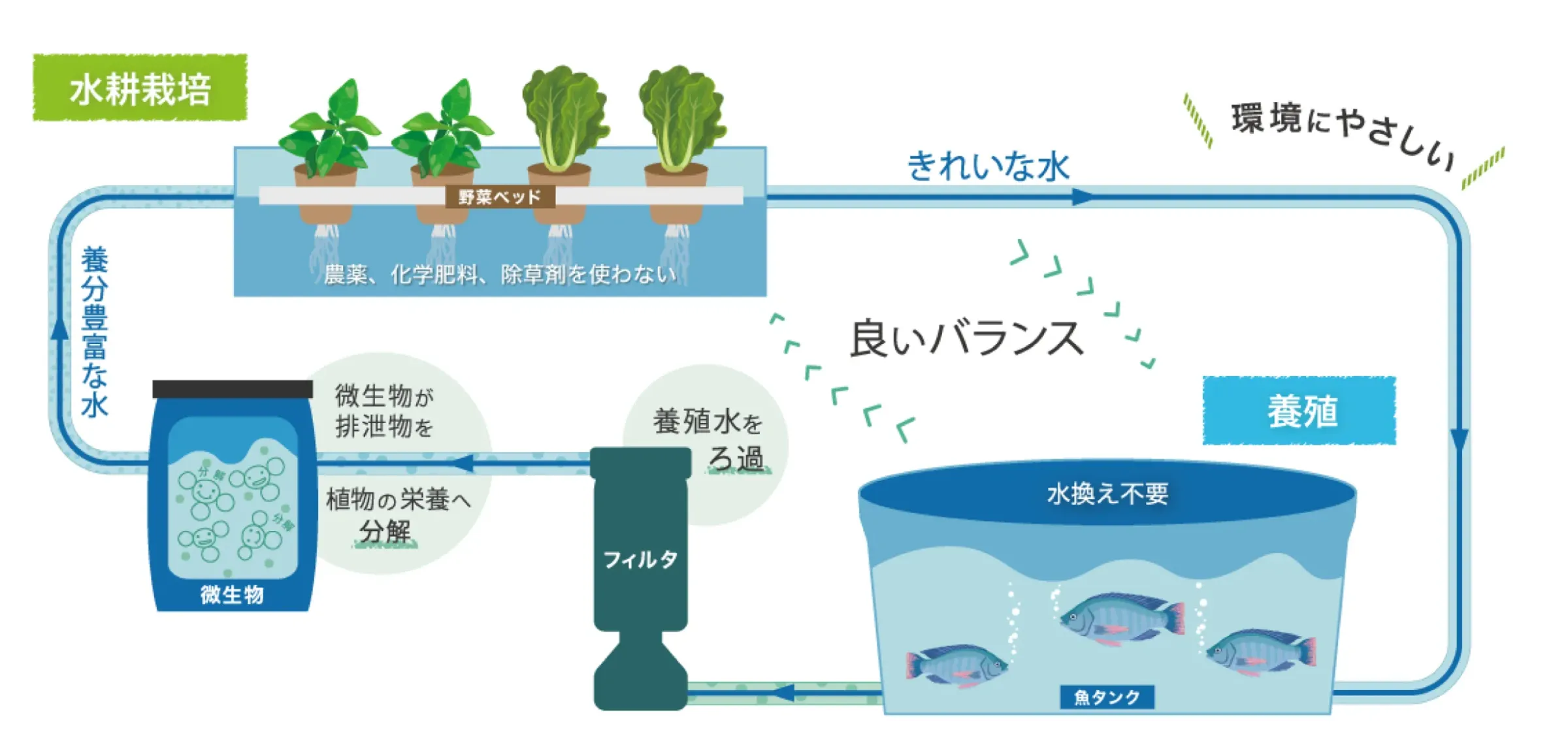 アクアポニックスの仕組み