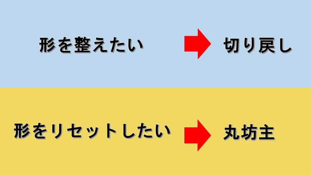 ガジュマルの剪定方法