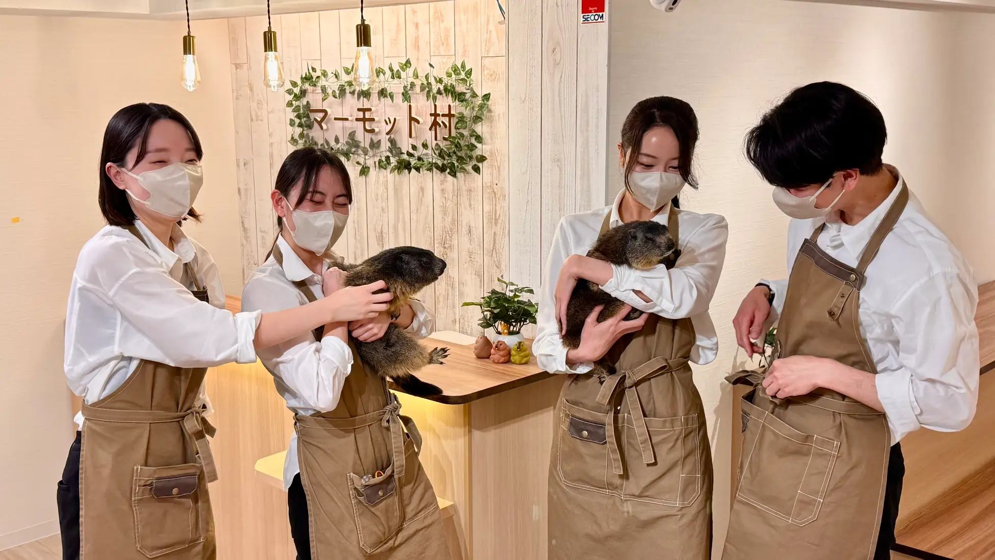 動物と触れ合えるカフェ