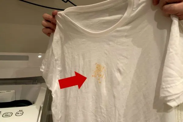 Tシャツ