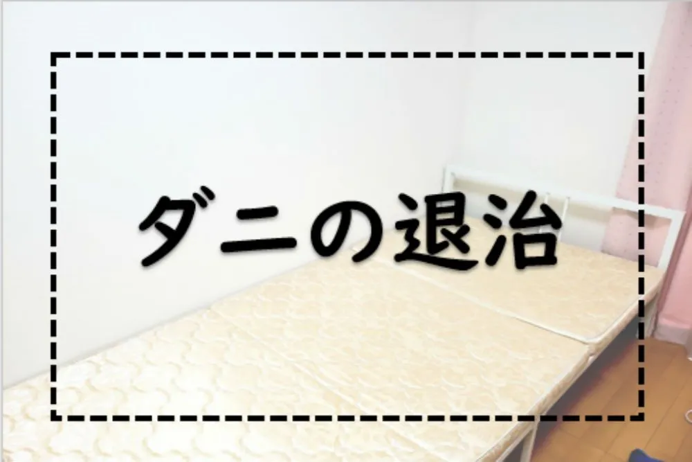 ダニ退治のステップ