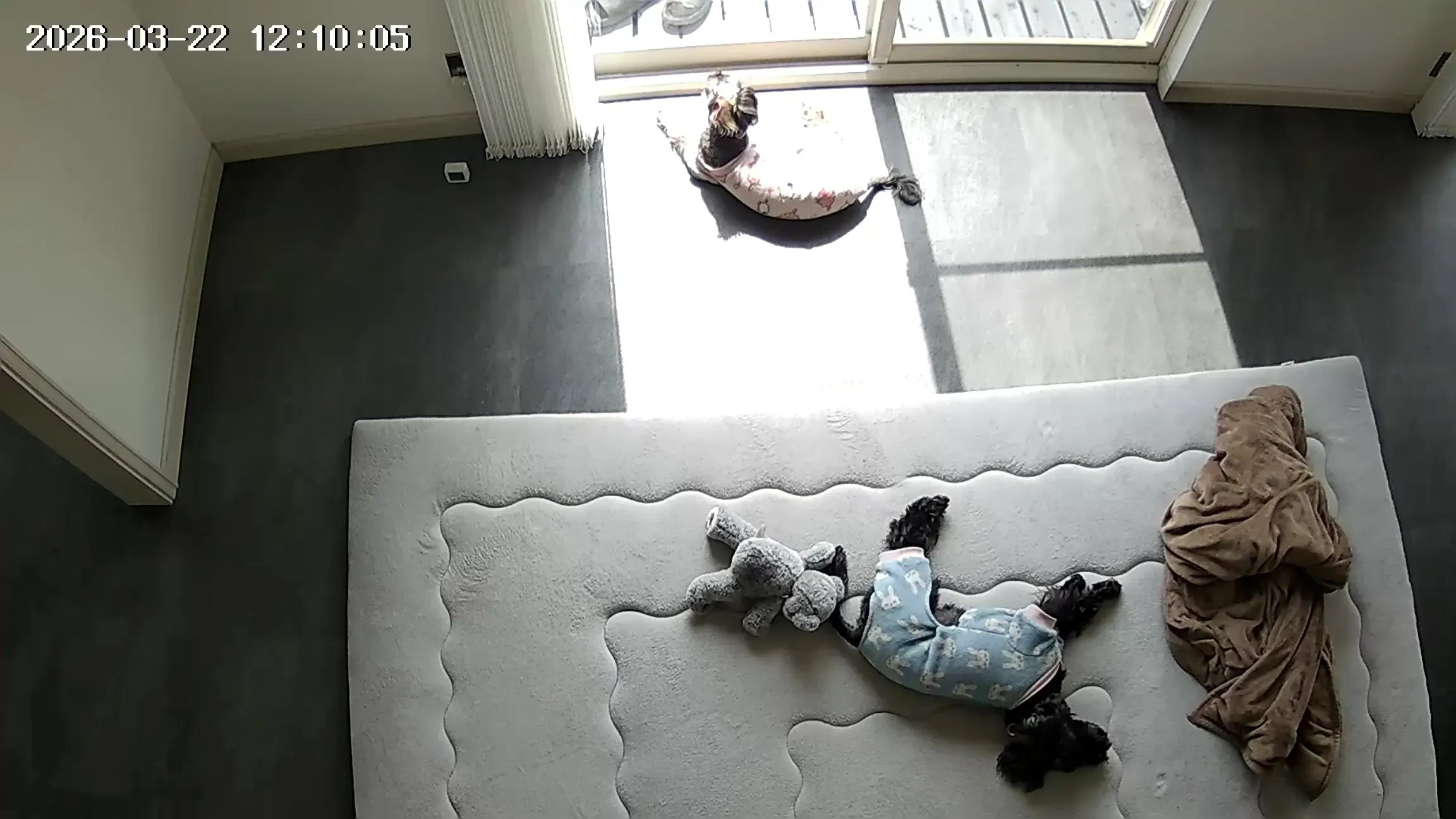 見守りカメラ昼間