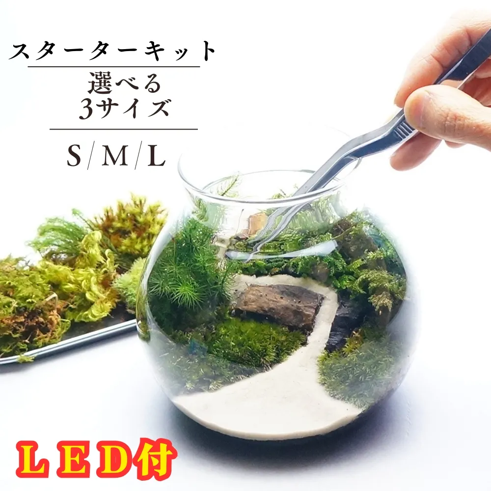 苔庵介る｜【スターターキット】苔テラリウム LEDライト付きの画像