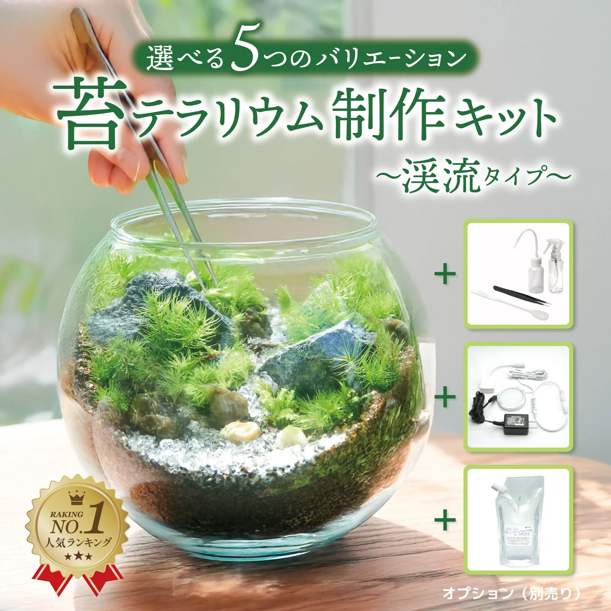 苔むすび｜苔テラリウム 制作キット 渓流の風景の画像