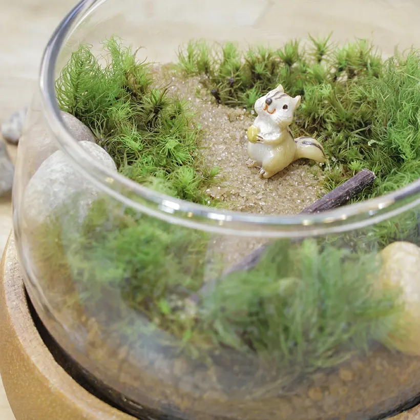 GRACE HOME｜苔テラリウム キット リスの防水フィギュア付きの画像
