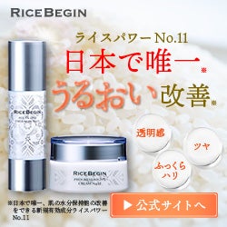 RICE BEGIN（ライスビギン）エイジングケアセット定期便