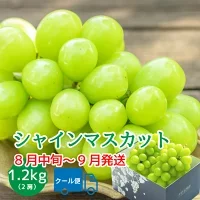 楽天スーパーセール