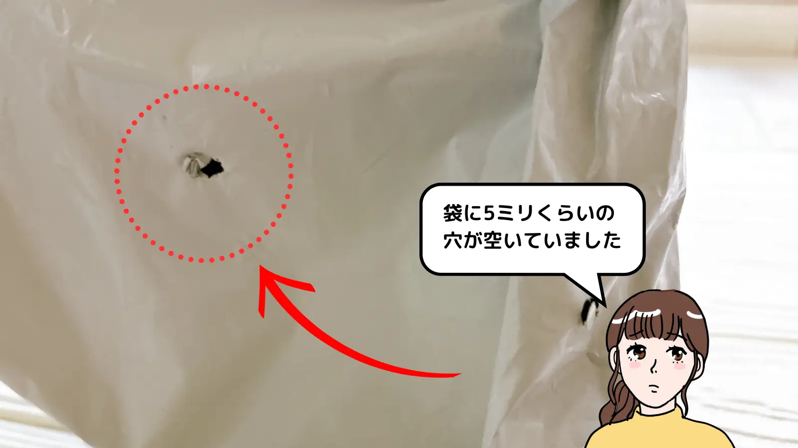 梱包状態イメージ