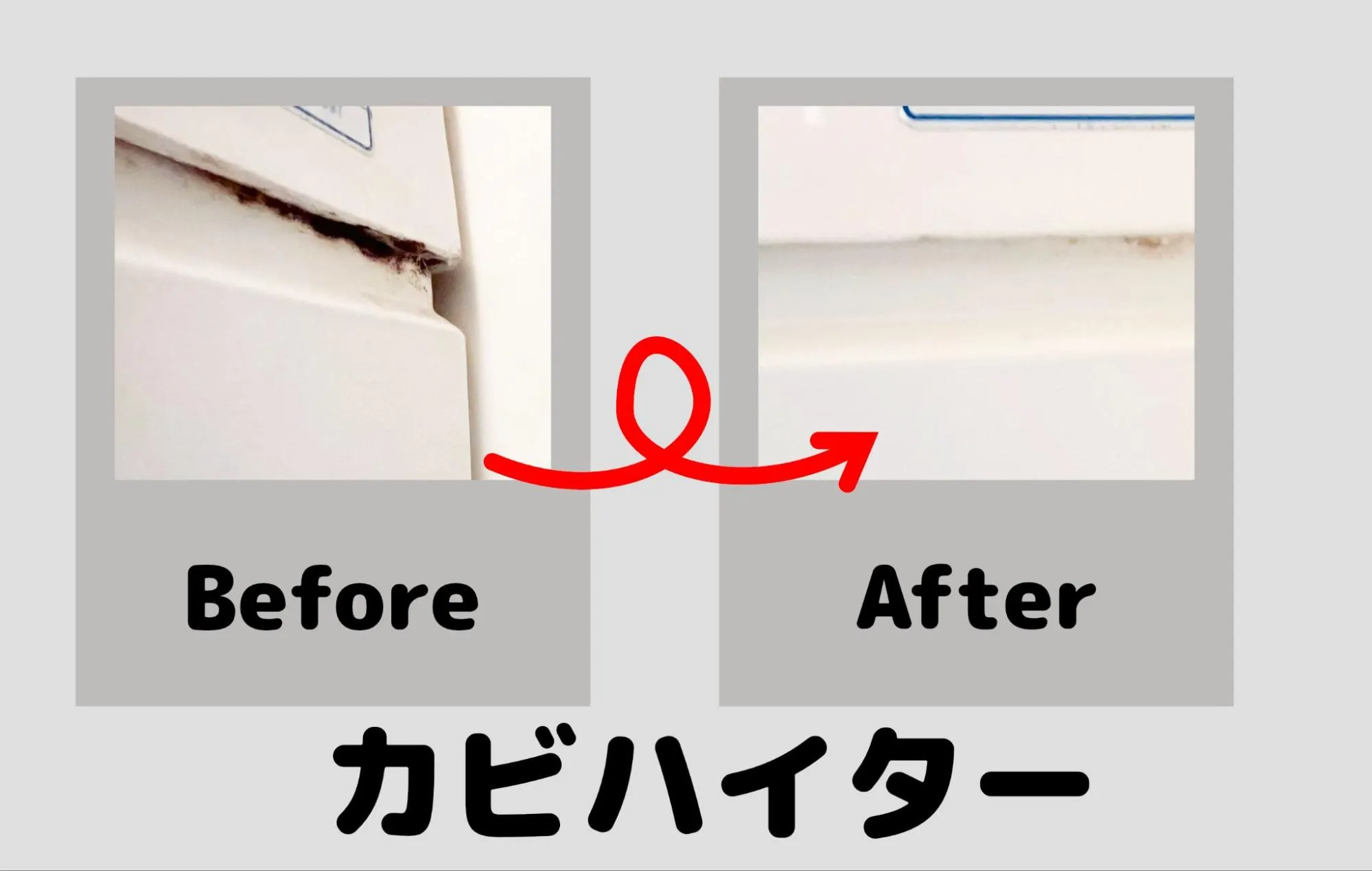 カビハイター検証