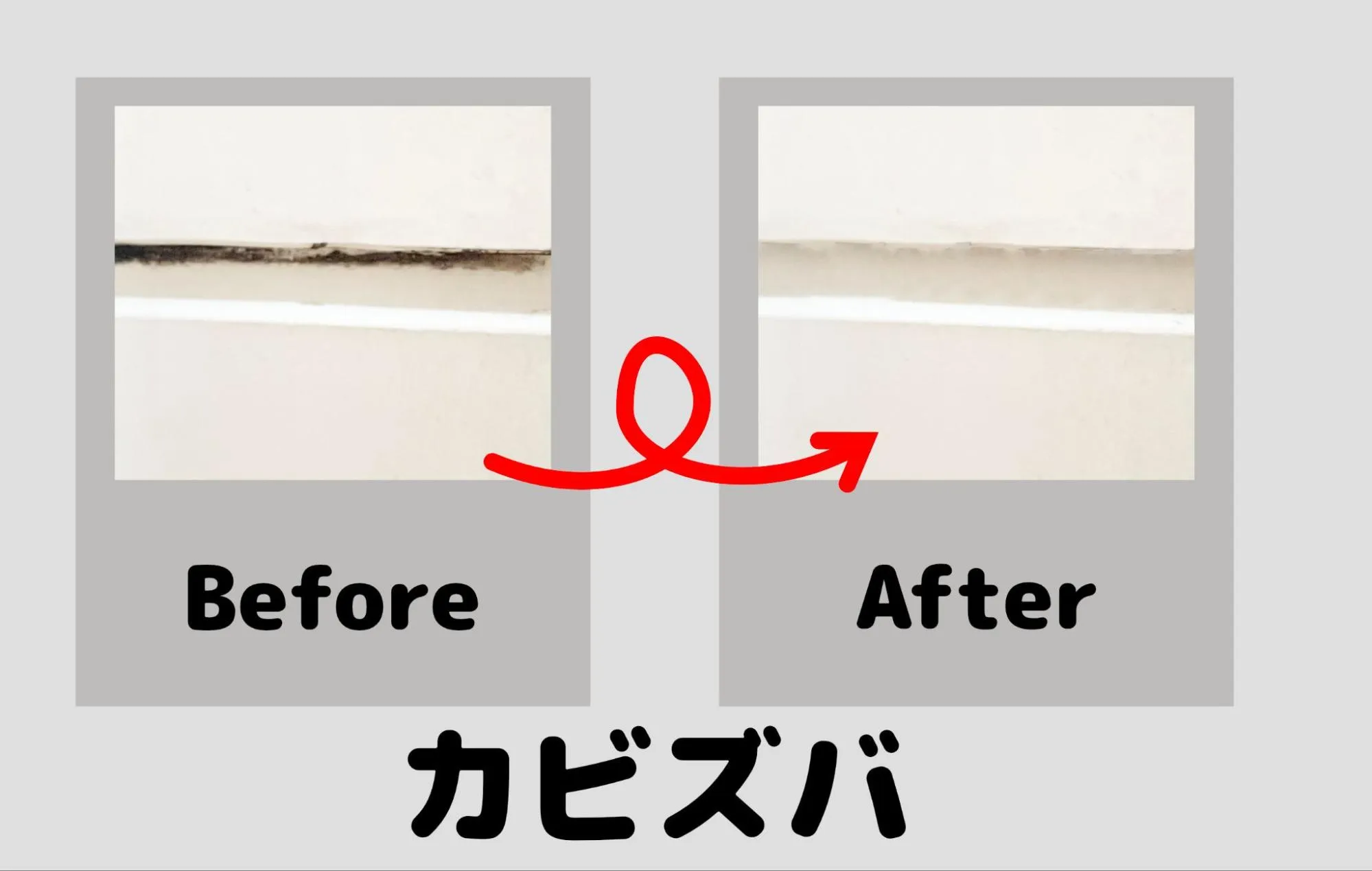 カビズバ検証