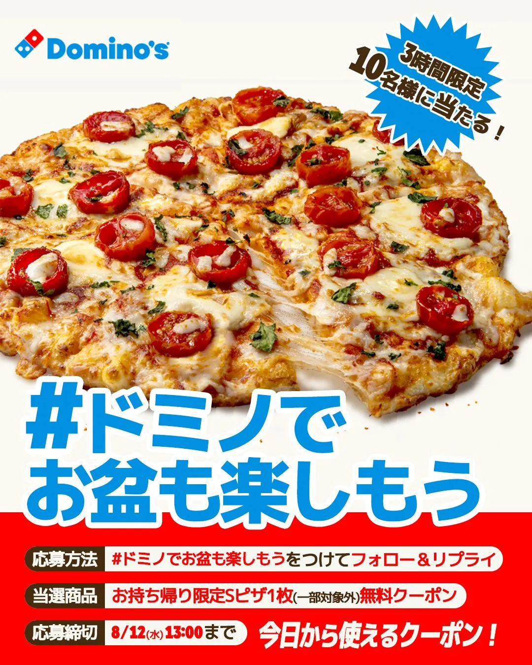 ドミノピザ クーポン