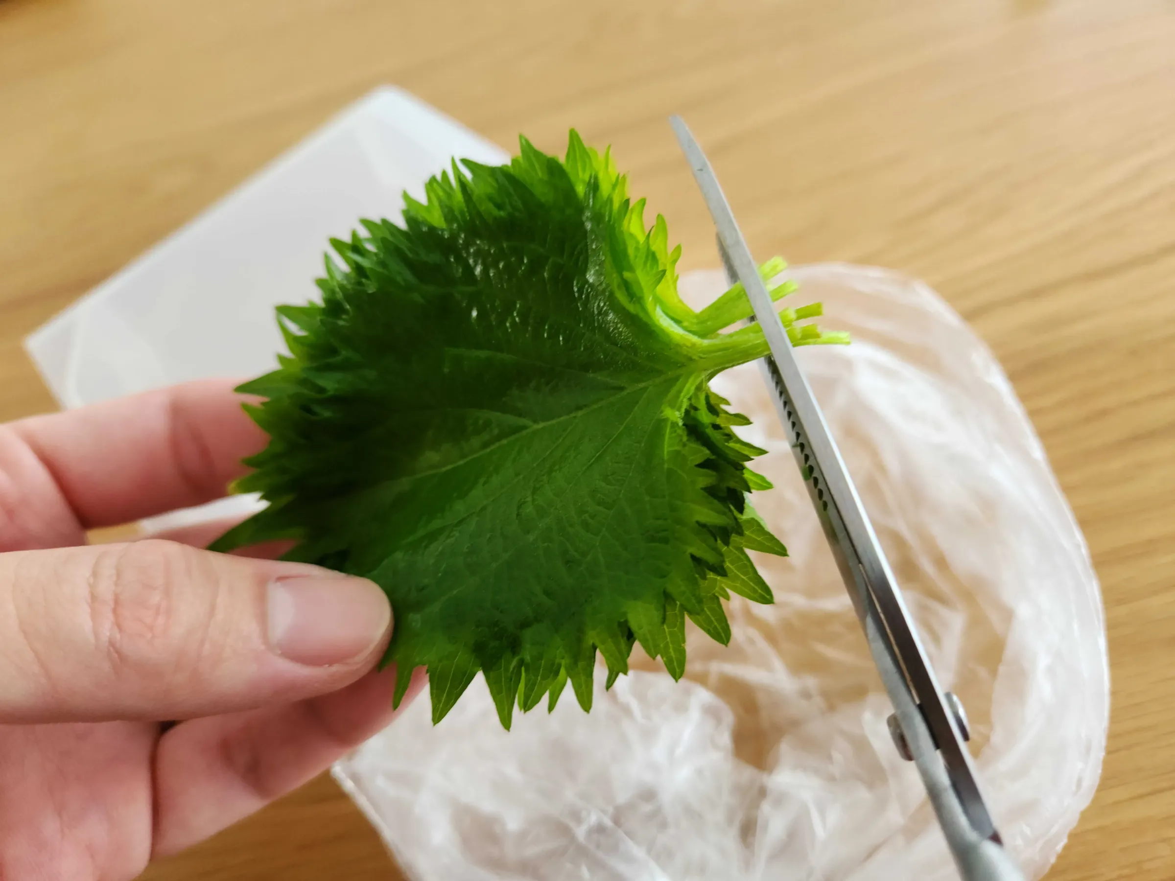 大葉の茎をカット