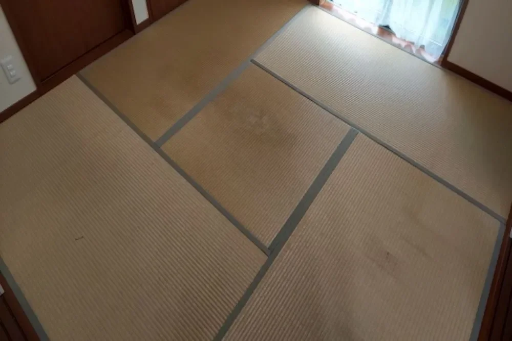 畳にカビが生えたときの対処法