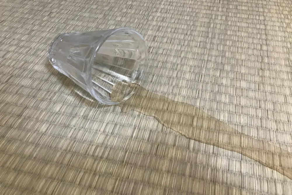 畳掃除