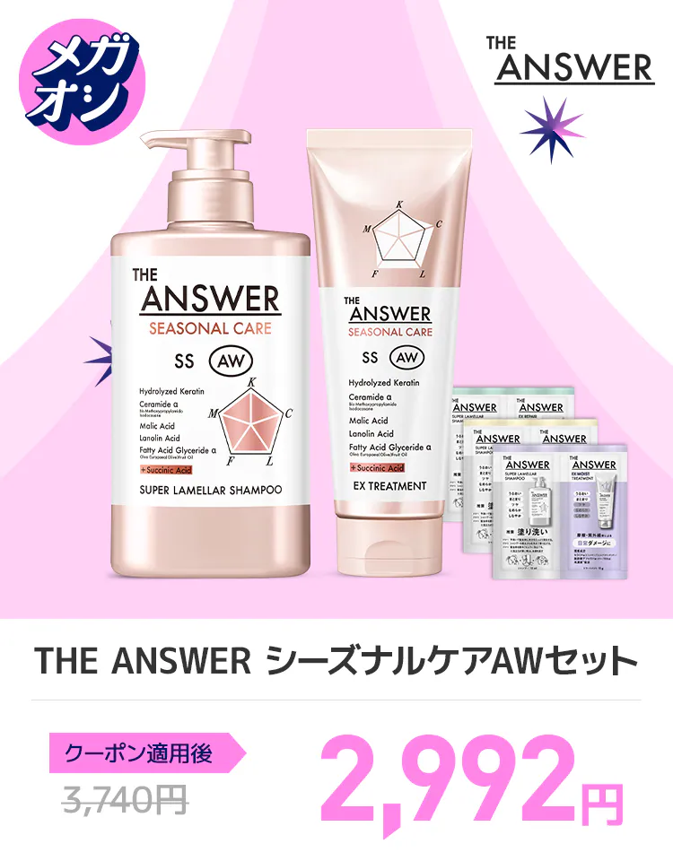 花王メガオシセット