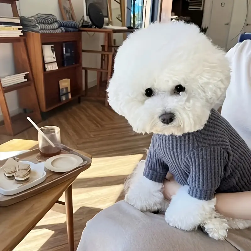 犬用ニットタートルネックセーター