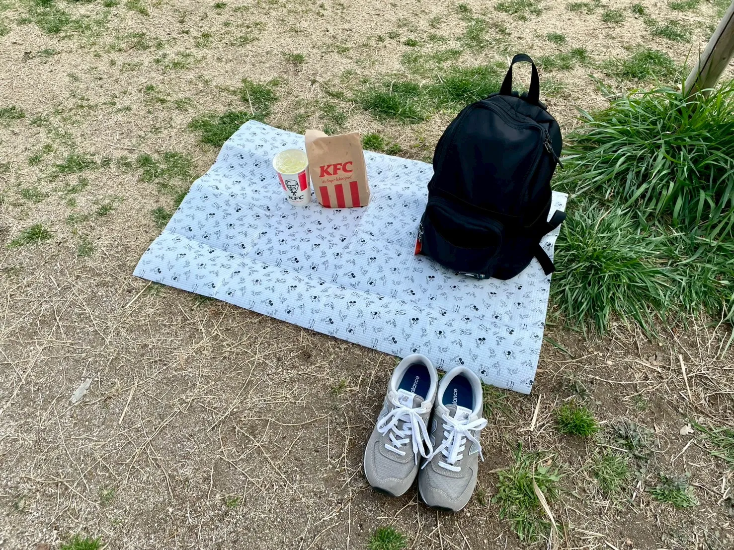 ダイソーレジャーシート